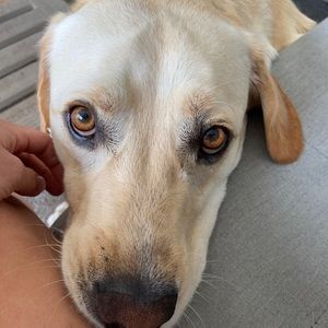 Meet your Posher, Chelsey